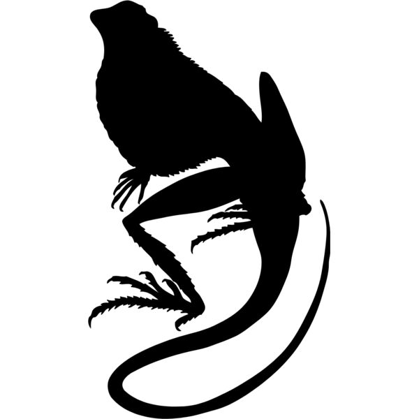 Lizard SIlhouette 18 Thumbnail