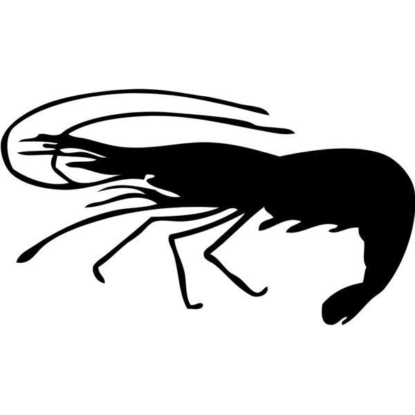 Shrimp Silhouette 2 Thumbnail