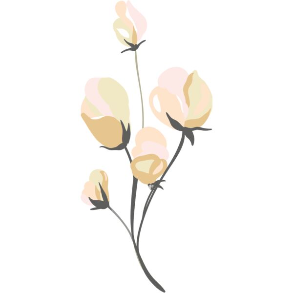 Pink Roses Flower 7 Thumbnail