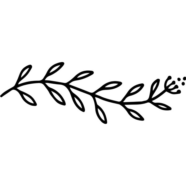 Floral Divider 18 Thumbnail