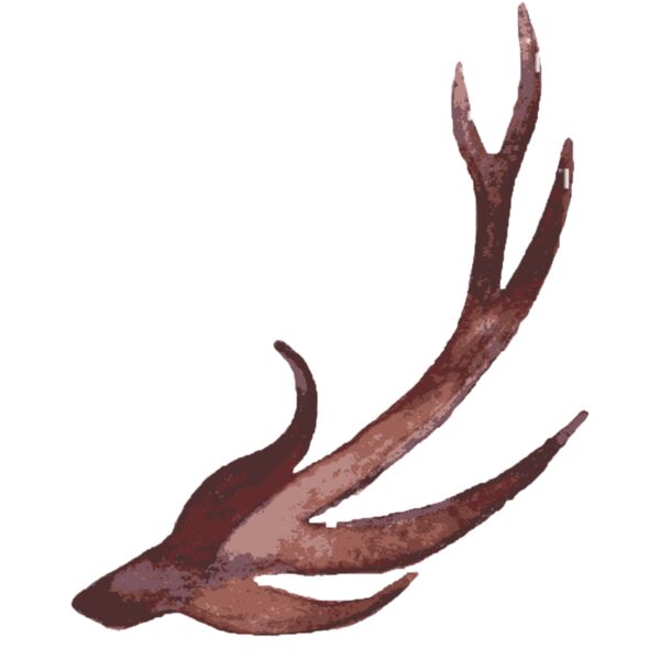 Watercolor Branch Antler 1 Thumbnail