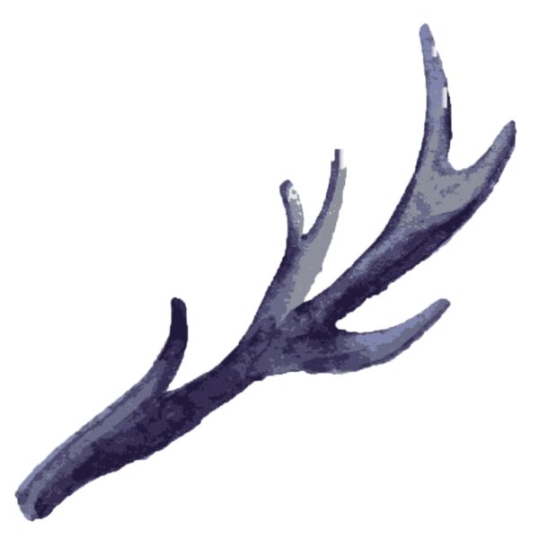 Watercolor Branch Antler 4 Thumbnail