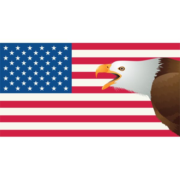 USA America Flag Bald Eagle 4 Thumbnail